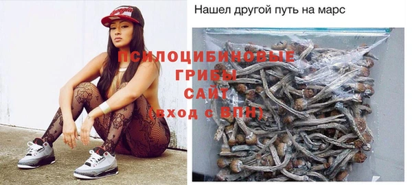 прущие грибы Алексеевка
